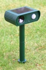 PestBye Solar Katzenschreck